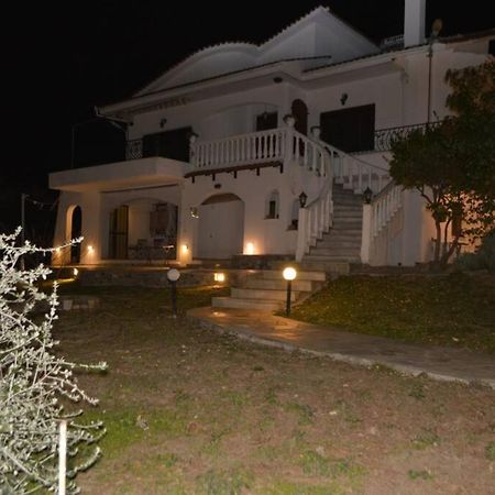 Villa Triple H Volos Esterno foto