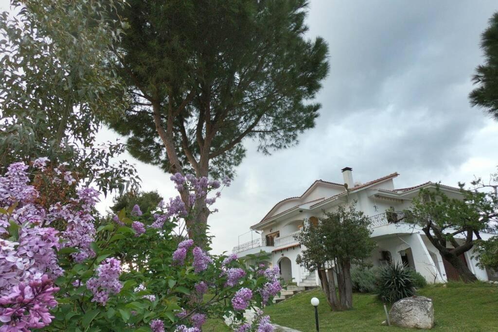 Villa Triple H Volos Esterno foto
